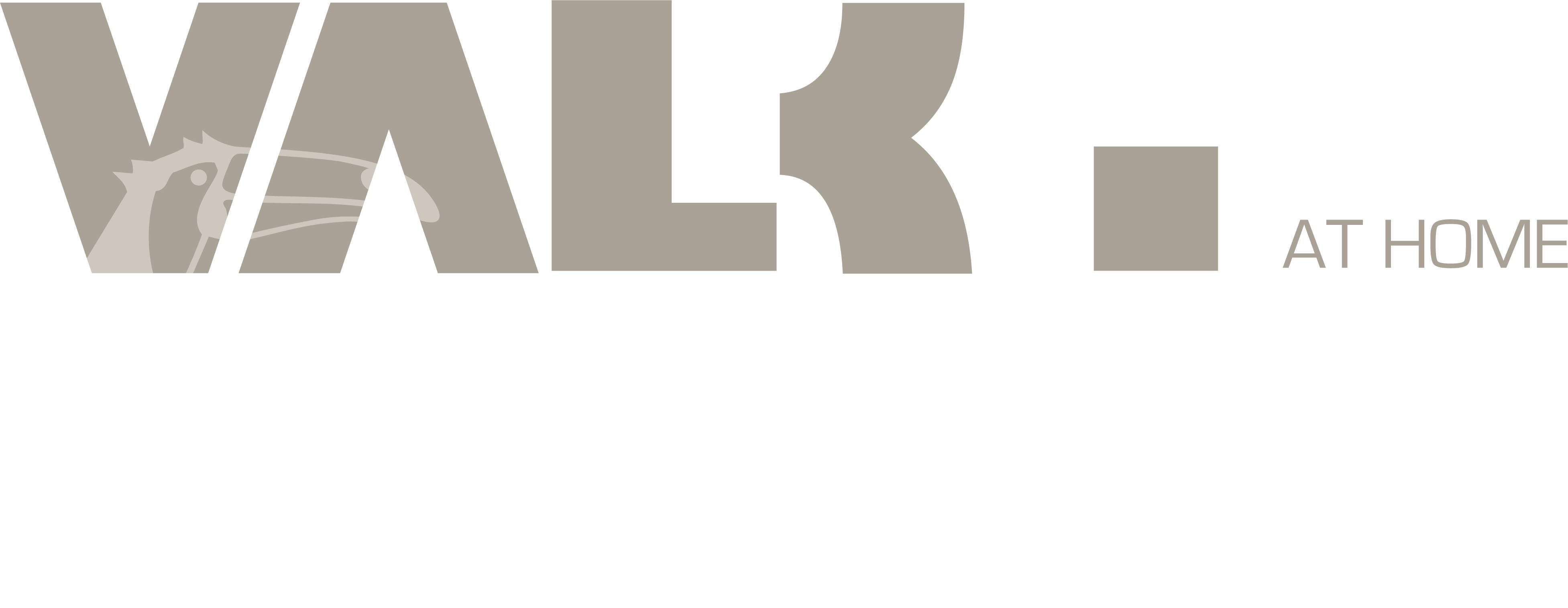 Valk at home logo